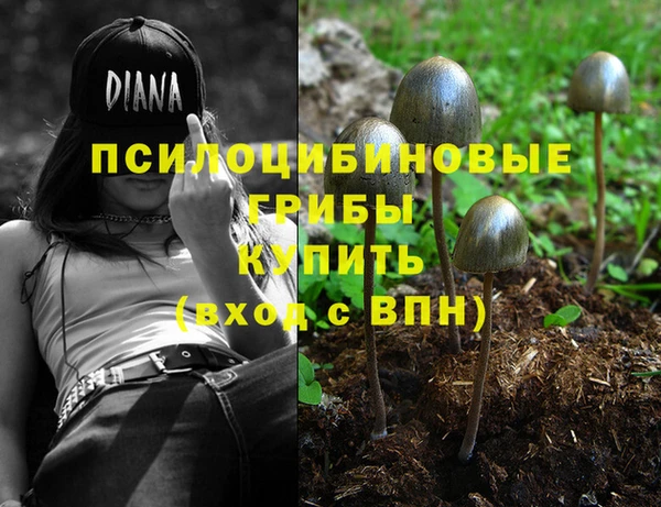 круглые Армянск